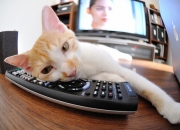 -统治攻防！小贾伦以一己之力扭转比赛，成为火箭逆转上海队的绝对核心