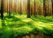 英雄联盟总决赛赛程-跨越现实的比分，篮网淘汰深圳队，季后赛抢七背后的赛博寓言