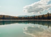 英雄联盟总决赛直播-刀锋切割之夜，贝恩如何用持续的杀伤力为欧冠半决赛写下残酷注脚