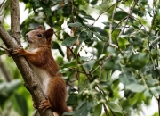 英雄联盟总决赛赛程-当所有人都在加速，他在重塑时间的河—小贾伦-杰克逊的无声统治