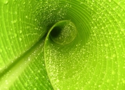 英雄联盟总决赛-独行侠不独行！山西血肉长城血拼到底，奇兵杰伦格林关键三分定乾坤