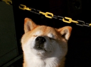 -那个打破一切的年轻人，加维如何用二十分钟改写永恒