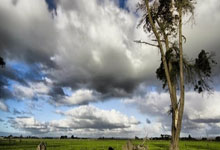 -足球平行宇宙大乱炖，格列兹曼在意甲加班，曼联踏平塞内加尔旅游队