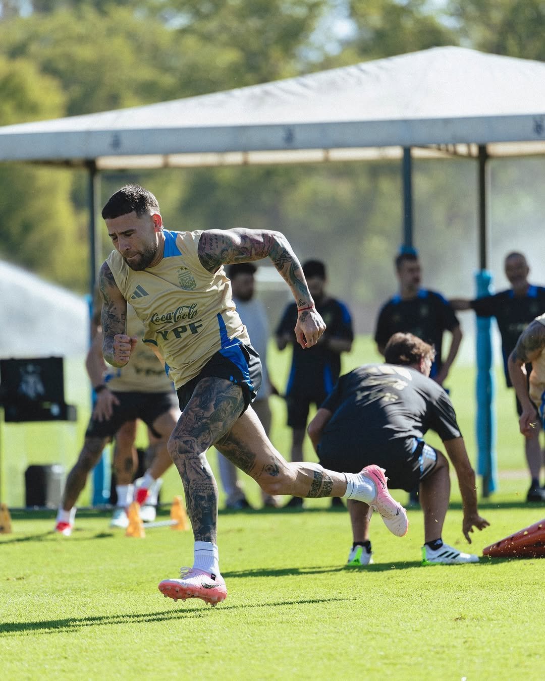 包含阿根廷教练组调整备战战术，备受瞩目的词条