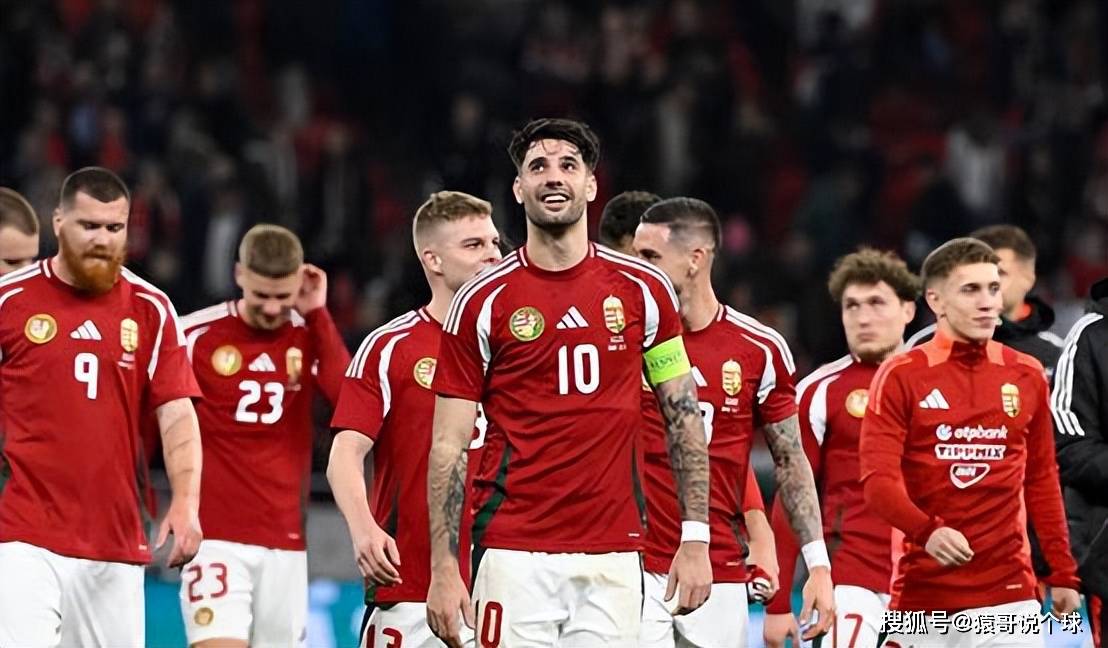 荷兰主场对阵匈牙利，取得激动人心的胜利