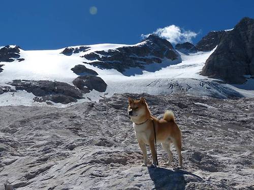 石与铁的对歌，当克罗地亚的韧性遇见毕尔巴鄂的传统，坎特在夹缝中起舞