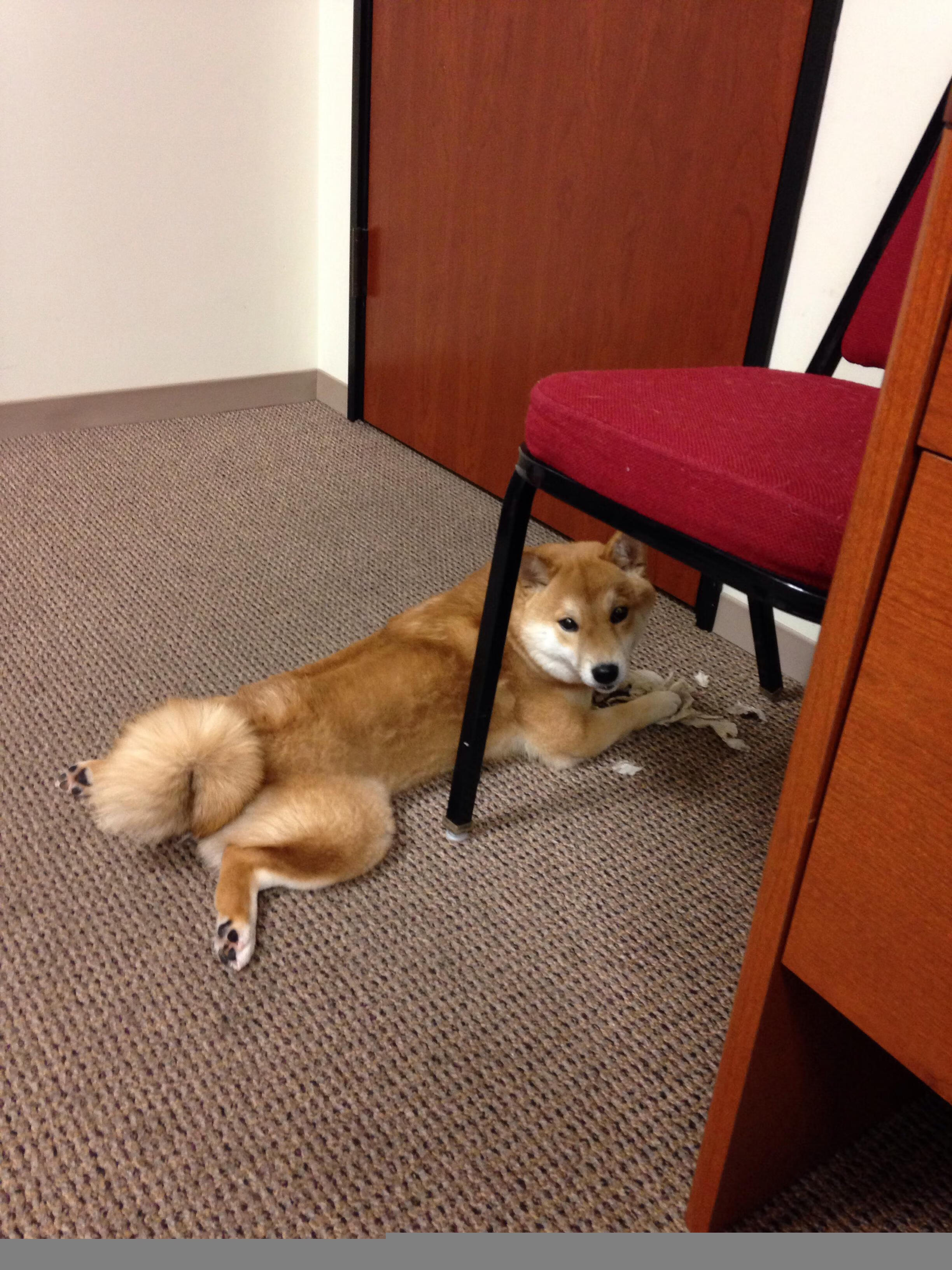 卡瓦哈尔独舞绿茵,委内瑞拉对阵贝蒂斯一役个人能力全解析