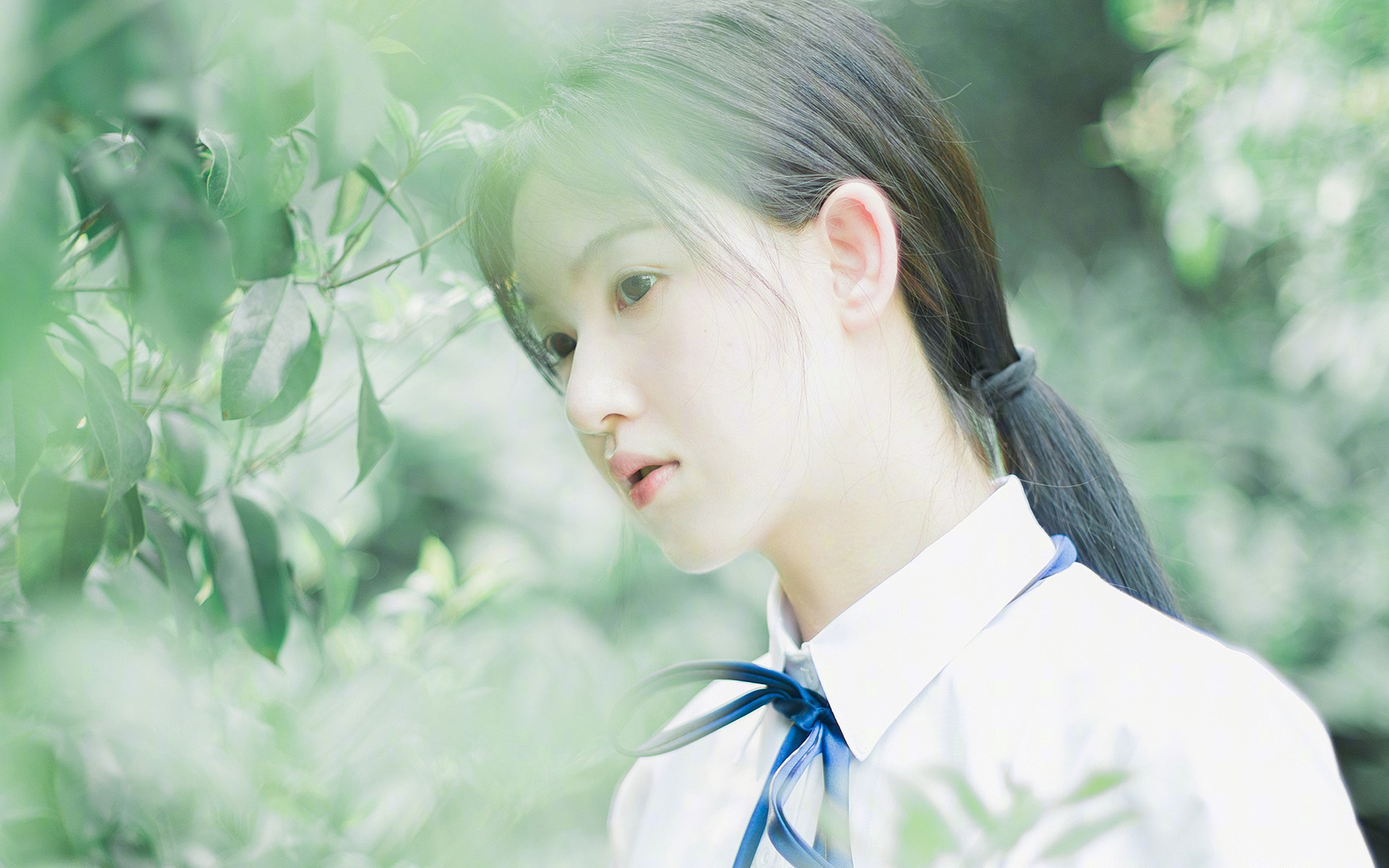 行走的战术教科书,当哈利伯顿用一场比赛定义攻防一体的未来