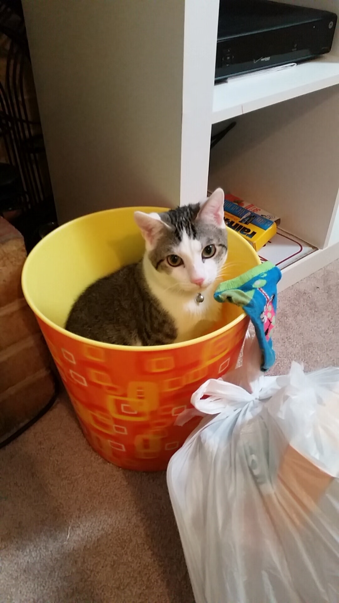 行走的战术教科书,当哈利伯顿用一场比赛定义攻防一体的未来