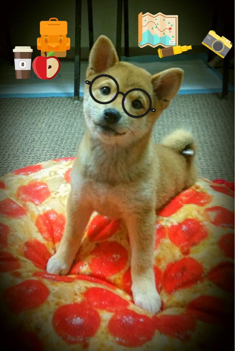 冠军基因穿越海洋,当鹈鹕对阵广厦,克莱用一记绝杀证明总冠军经验无国界