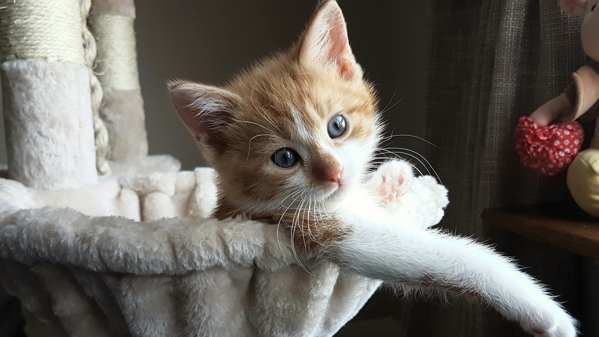 无声的巨人,戈贝尔的防守哲学如何助勇士跨过步行者