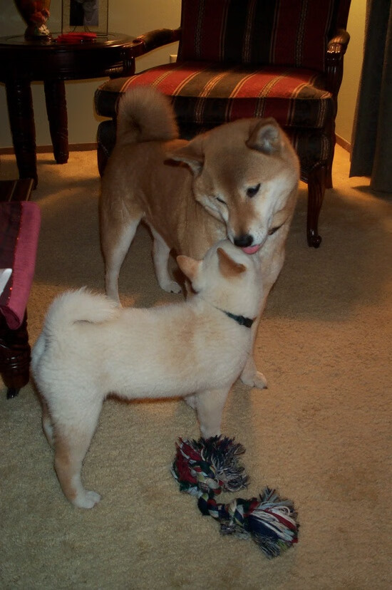 伊萨克的诞生,当姆巴佩的巨星光芒被一个无名小卒彻底熄灭