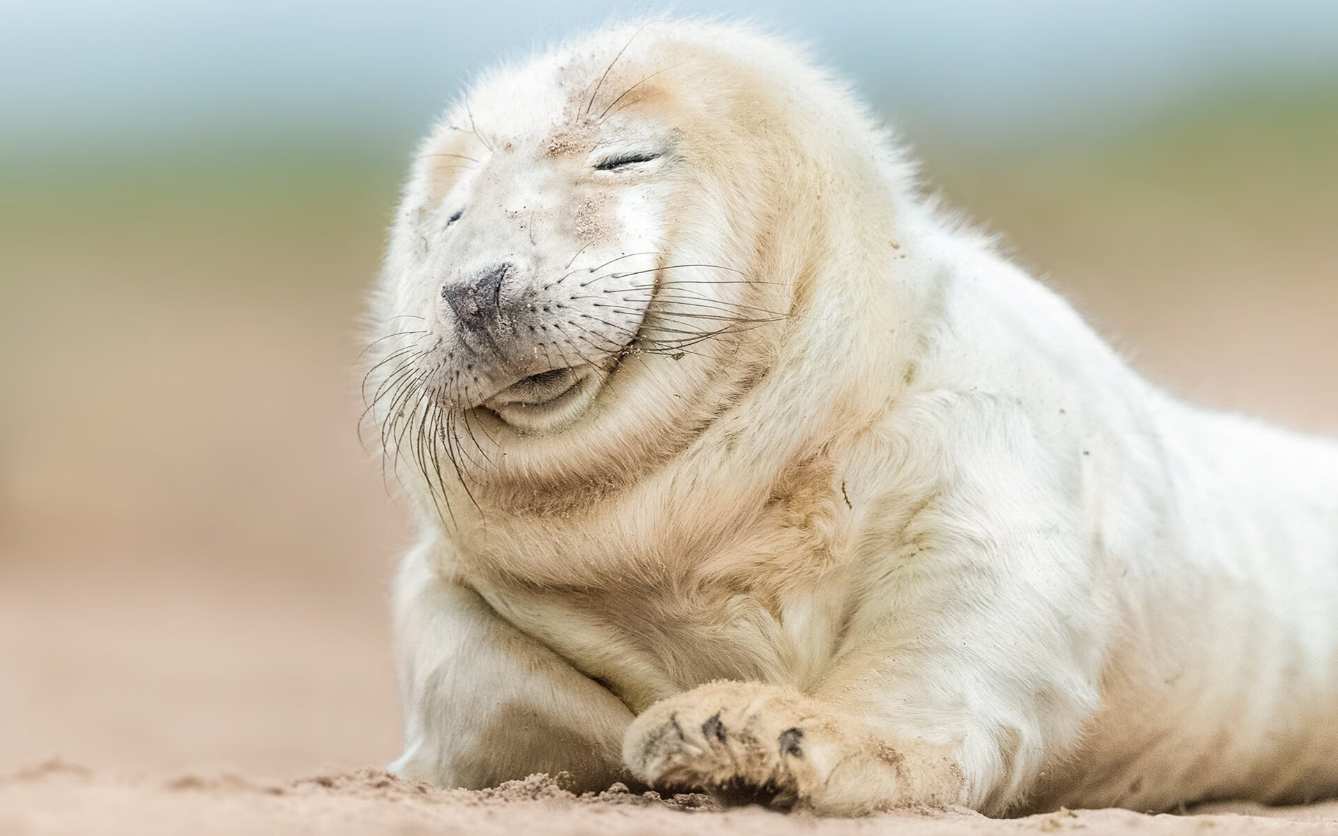 奥运序章，东方铁骑强压高原雄鹰，若日尼奥于唯一关键战接管比赛