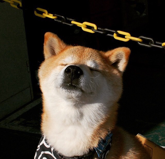 那个打破一切的年轻人，加维如何用二十分钟改写永恒