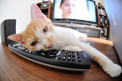 战术机器碾碎北欧神话,奥斯梅恩一传一射定江山