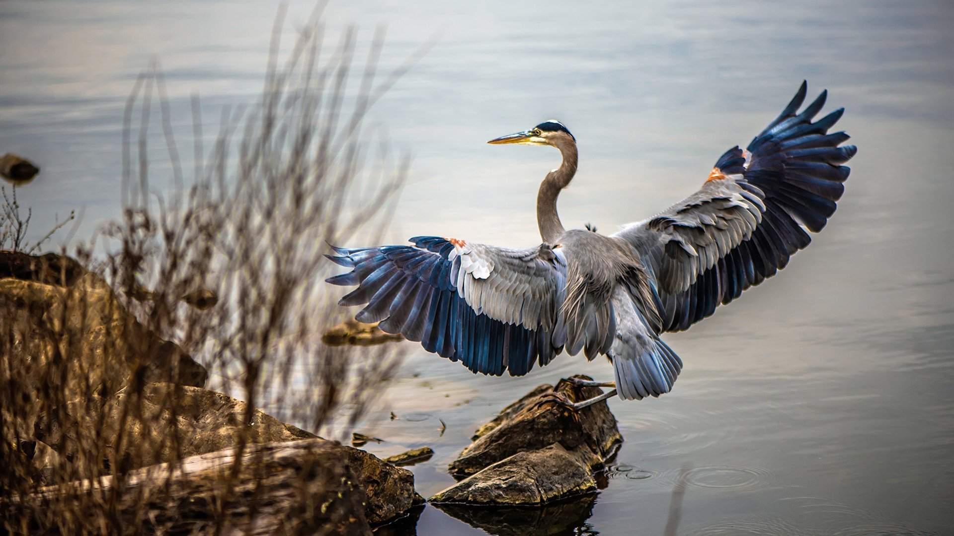 跨界对决夜,从迈阿密战术棋谱到方向盘后的终极掌控