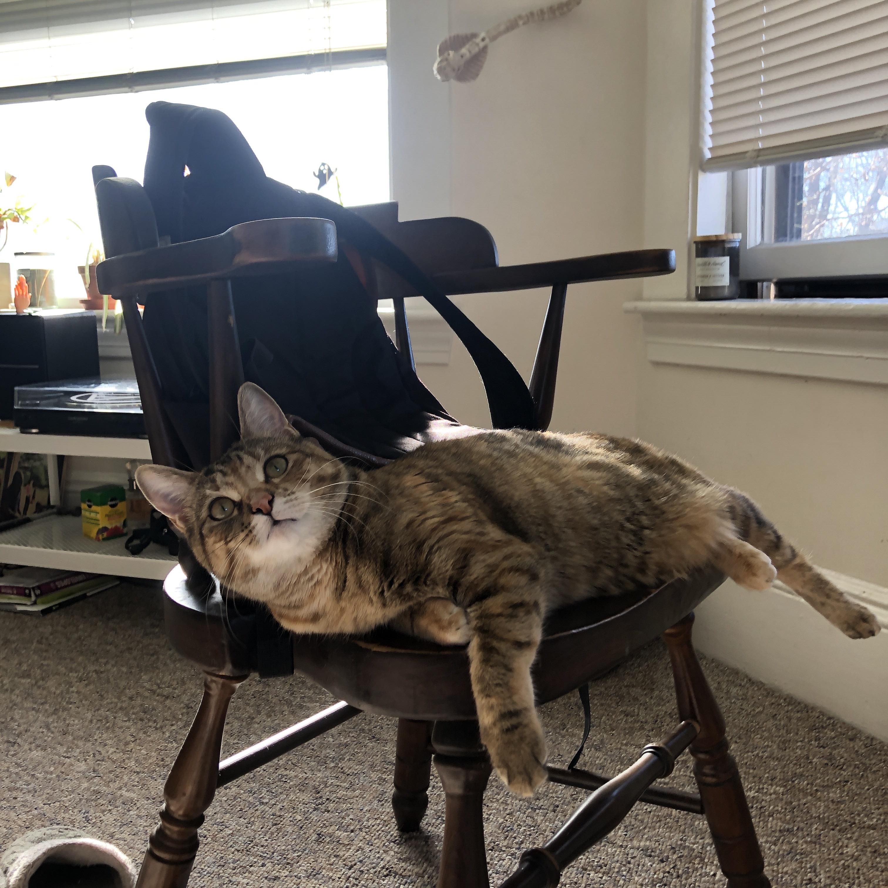 世界排名争夺战终极悬念，雷霆强势攻克魔术，锁定季后赛关键席位