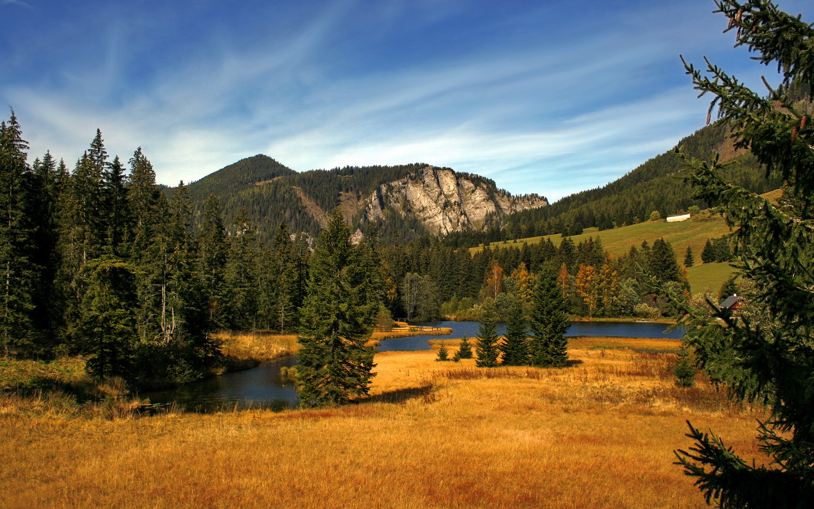 风暴眼,当意甲焦点战之夜,所有人都围绕着法比尼奥旋转