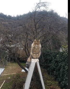 欧冠淘汰赛之夜,巴雷拉以冠军烙印定义历史