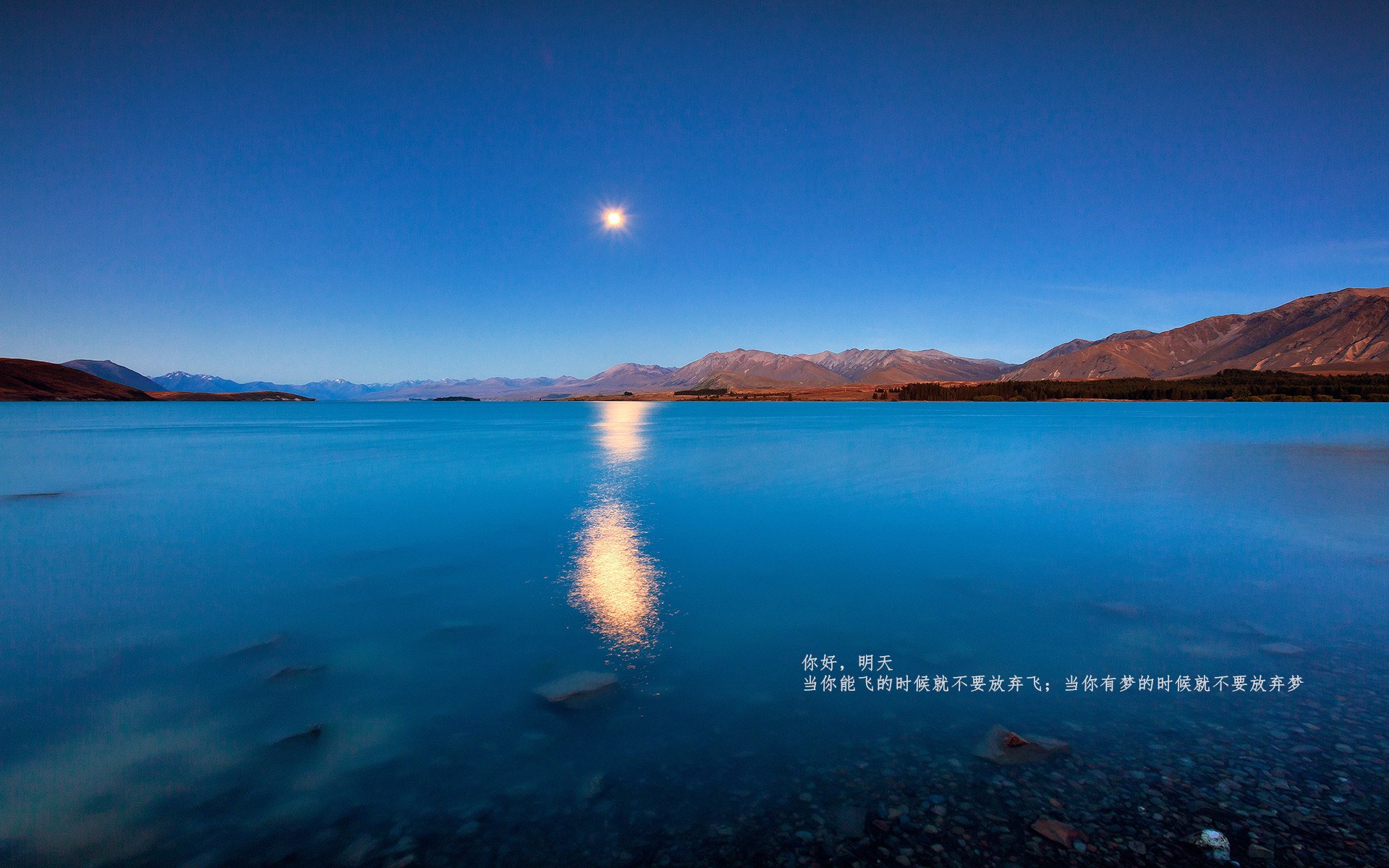 双星耀夜，当F1银翼划破巴林，哈弗茨的黄金左脚点燃伦敦