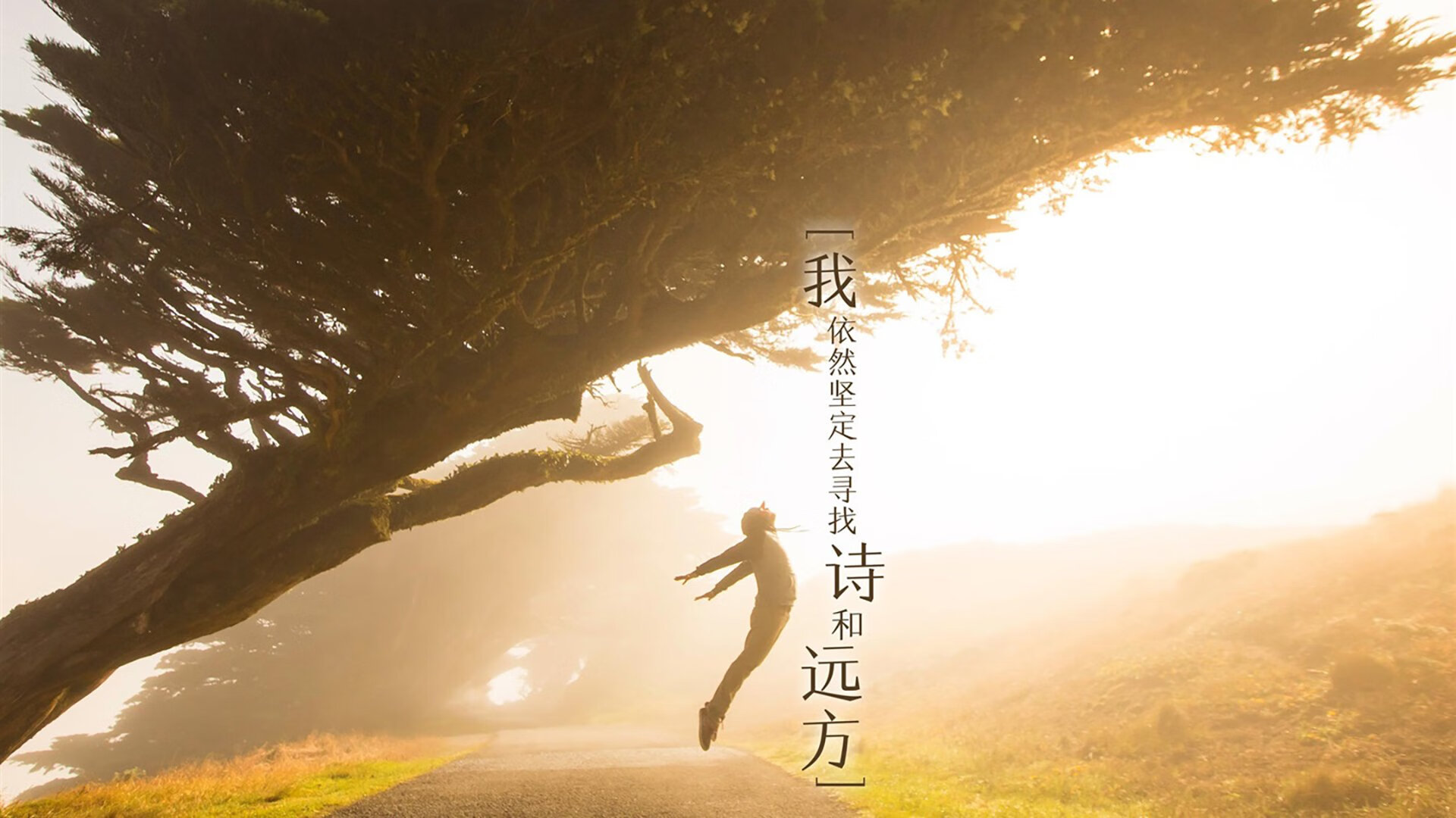 唯一性之辩,孟菲斯的孤胆英雄与奥兰多的群狼战术—论两种不同的胜利哲学