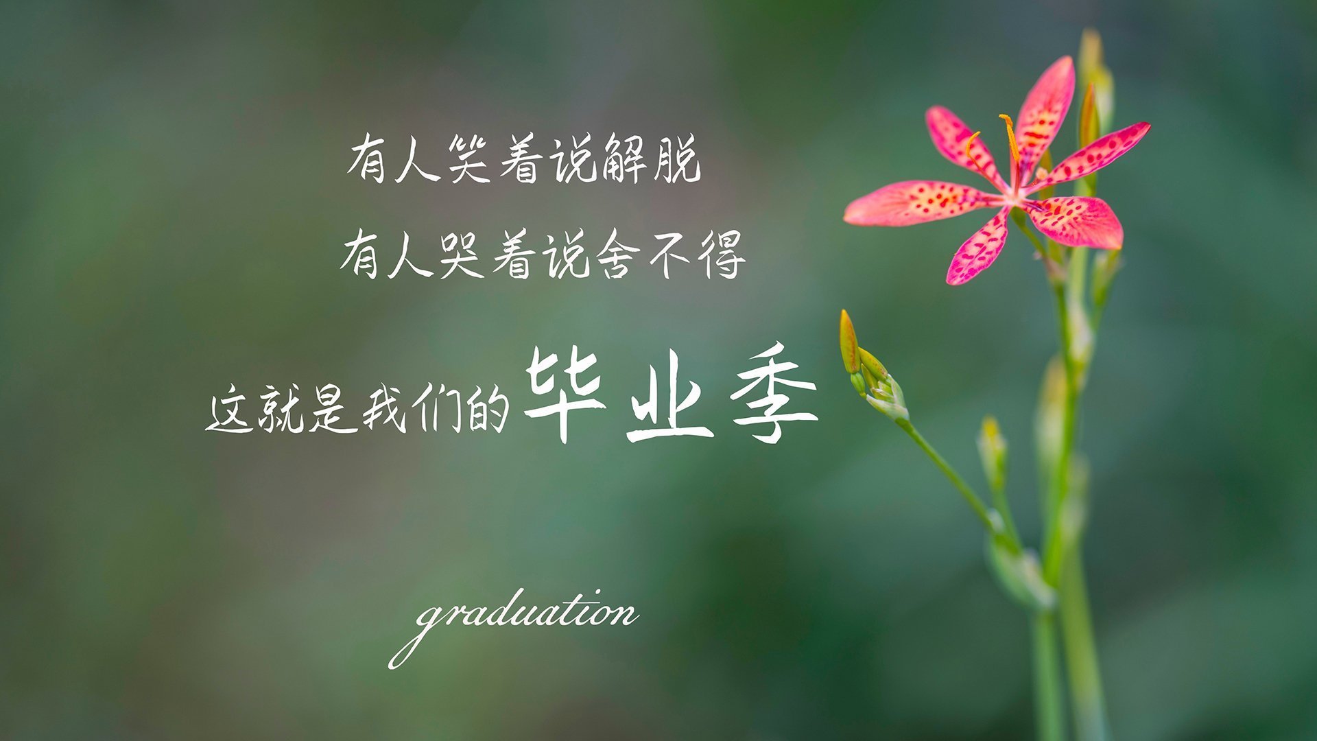 定格的唯一,当整个德甲的命运,悬于基米希的右脚弧线
