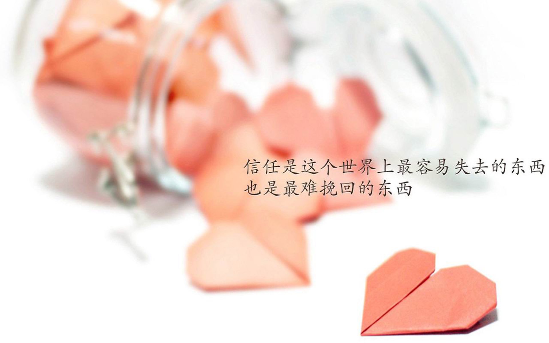 生死战上的寂静风暴,佩德里与波兰替补奇兵,如何在美国队的心口划下世界杯伤痕