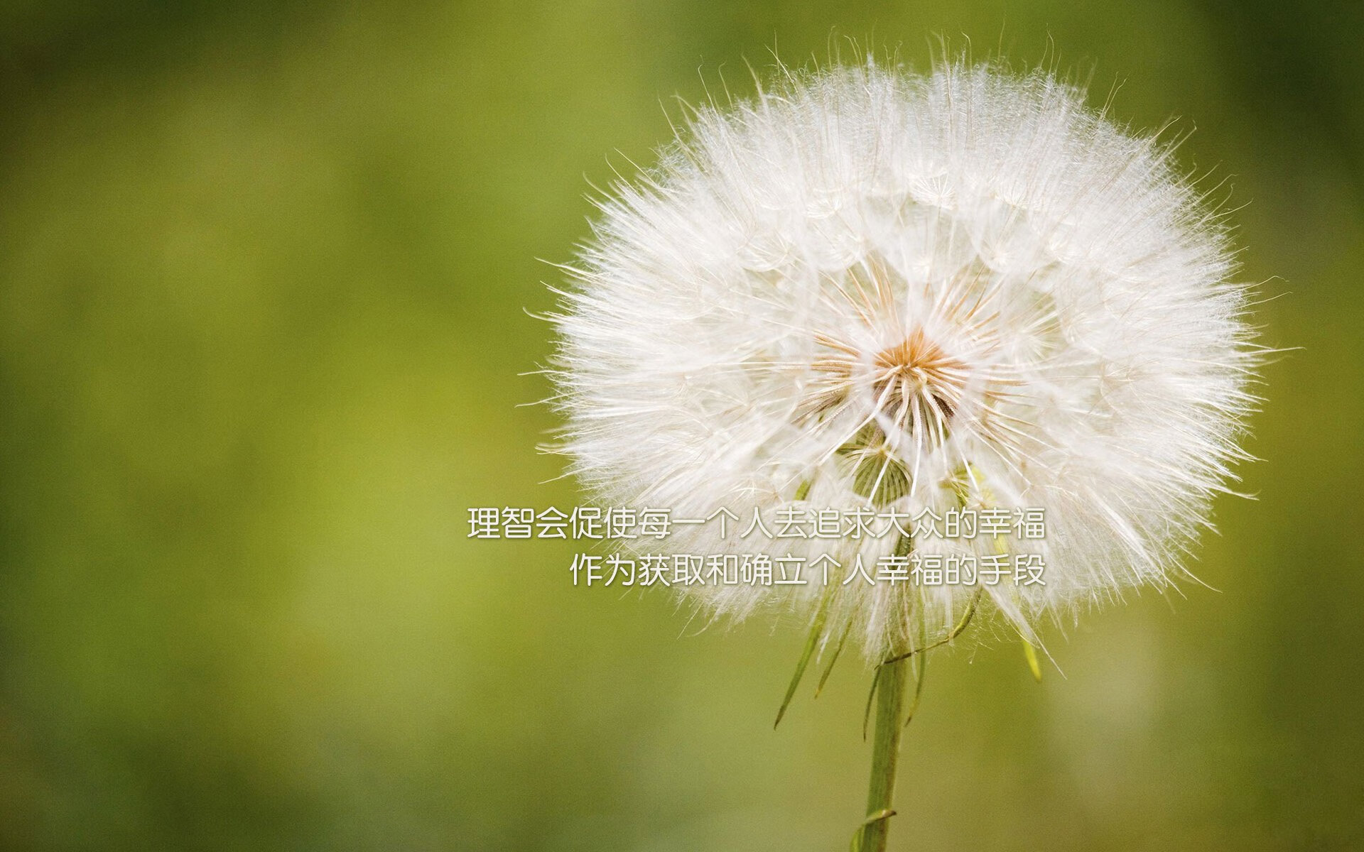 蓝白红之外的第三种颜色，格列兹曼在2026世界杯B组的光影魔术