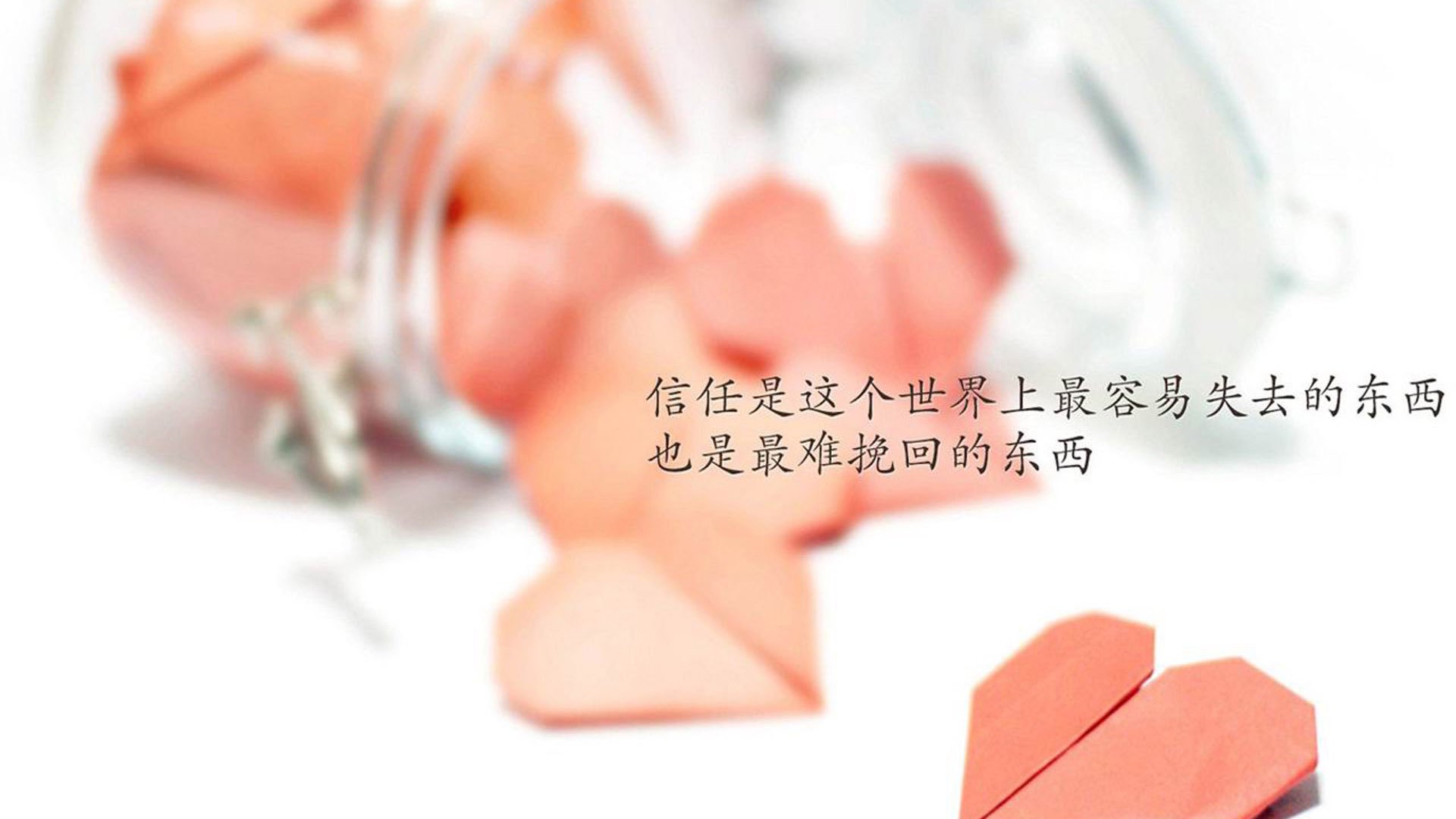 唯一之战,当足球超越政治,B费在美伊对决中写下永恒