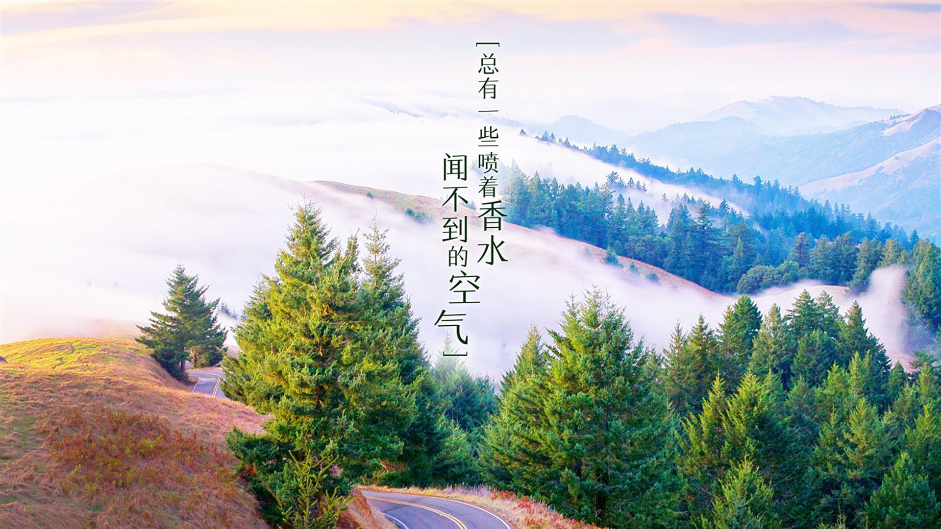 绝唱与新生,2026世界杯决赛,阿根廷大胜罗马尼亚,苏亚雷斯完成致命一击