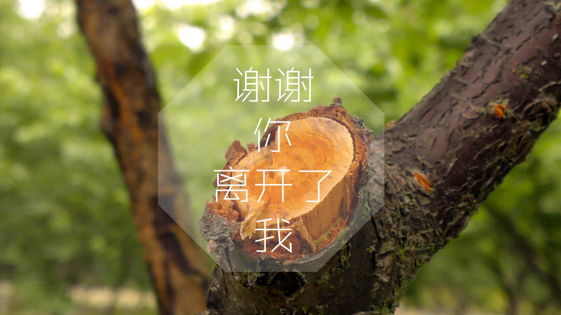 1.关键词拆解与反常组合,2026世界杯A组,通常人们会想到传统强队。但这里出现了越南,这是一个极具反差感的元素,因为越南从未进入过世界杯决赛圈。这个唯一性就在于历史首次