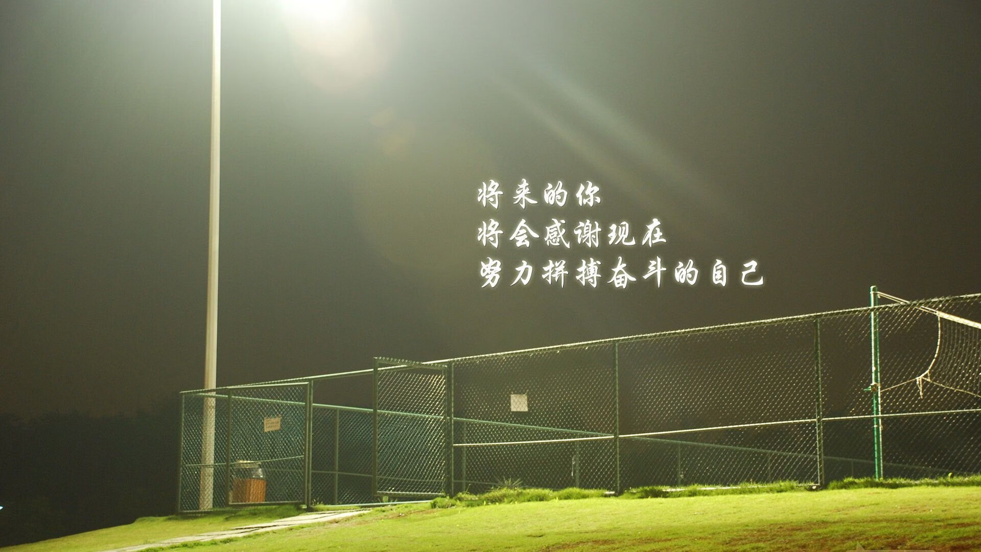 (备选)
